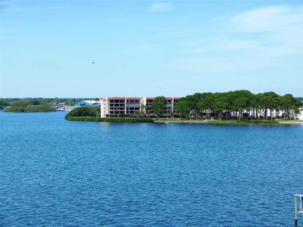 2700 Bayshore Blvd Unit 11109, Dunedin, FL 34698 Condo for Rent in