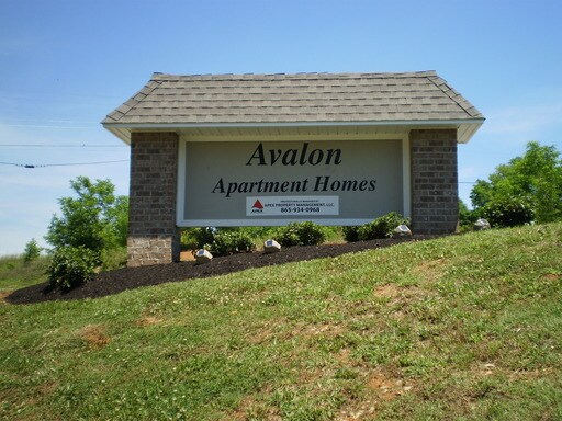 Primary Photo - 1303 Avalon Dr
