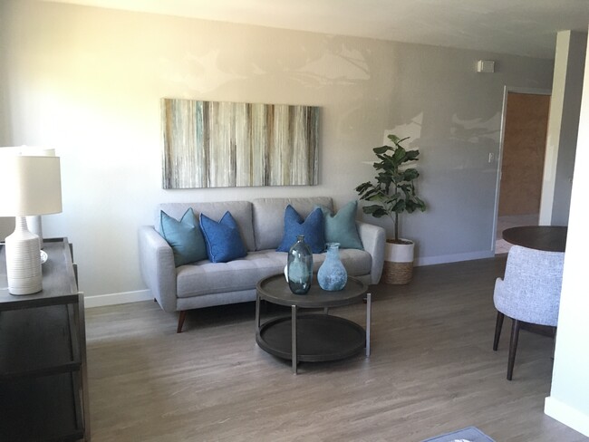 studio-renovated - Mesa Palms Apartments