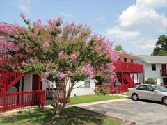 Primary Photo - Ingram Woods Apartments