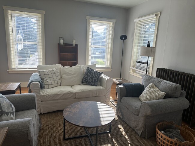Gorgeous natural light in comfortable and beautifully furnished living room area - 1110 W Market St