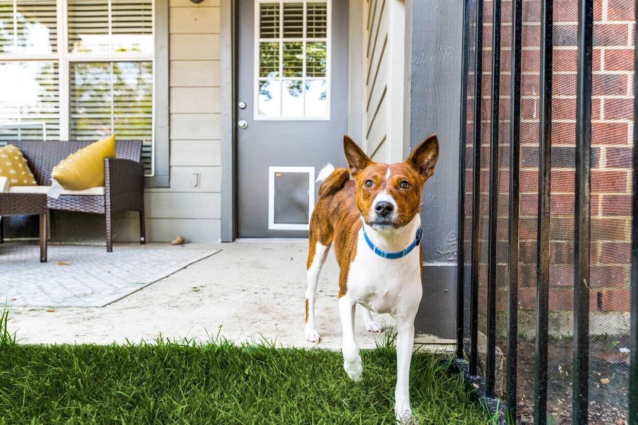 Cross Creek at Grapevine Ranch Apartments Grapevine, TX
