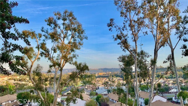 Foto del edificio - 1826 Rainbow Terrace Ln