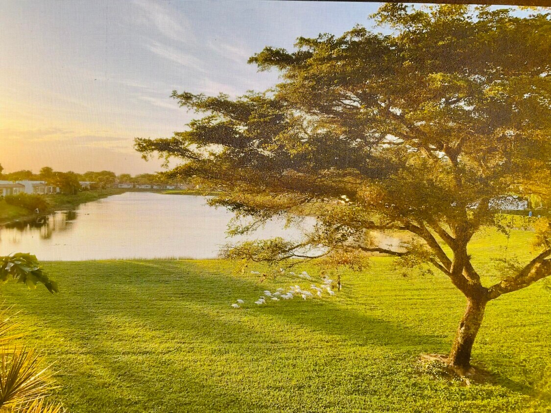 128 Lake Constance Dr, West Palm Beach, FL 33411 Condo for Rent in