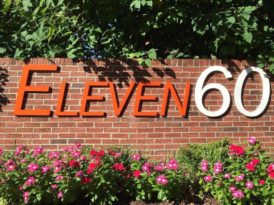 Primary Photo - Eleven60
