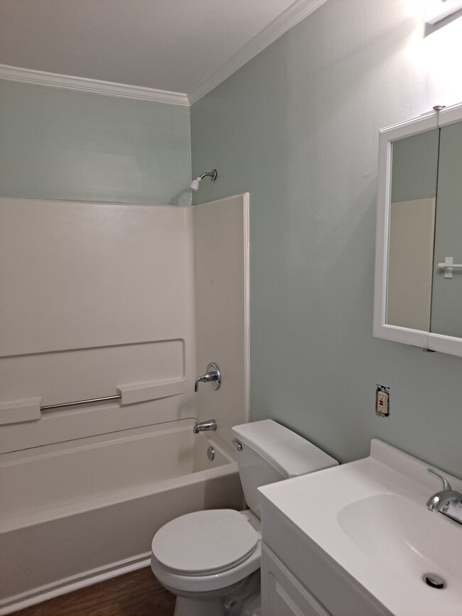 Bathroom - 1411 Fairview St