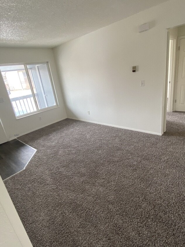 Newly renovated 2 bed/1 bath with views! - Newly renovated 2 bed/1 bath with views!