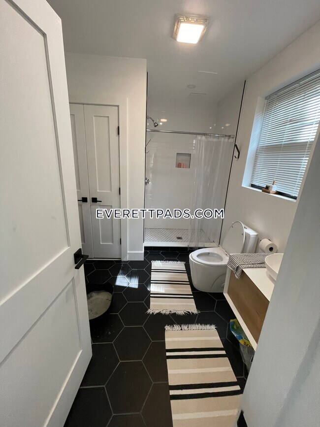1st Floor Bathroom - 178 Hancock St