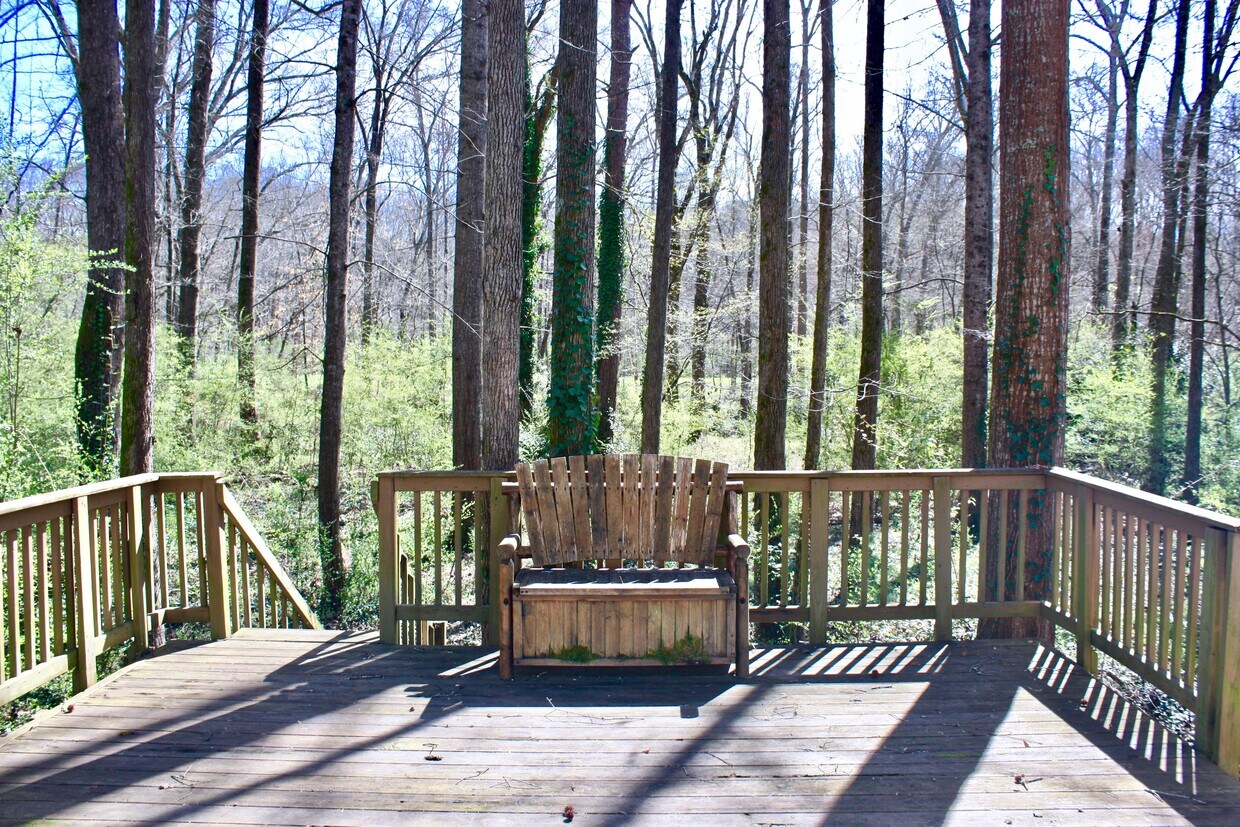 213 Wren St, Clemson, SC 29631 House Rental in Clemson, SC