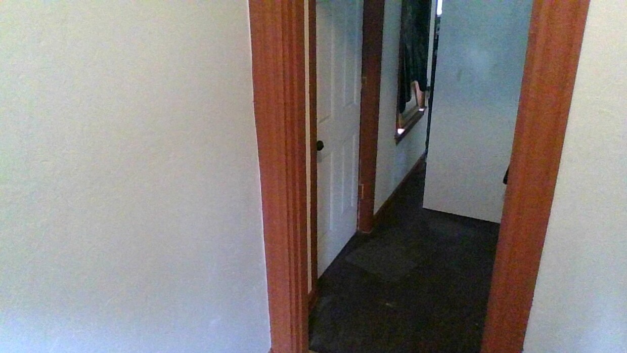 Backdoor - 141 Draper St