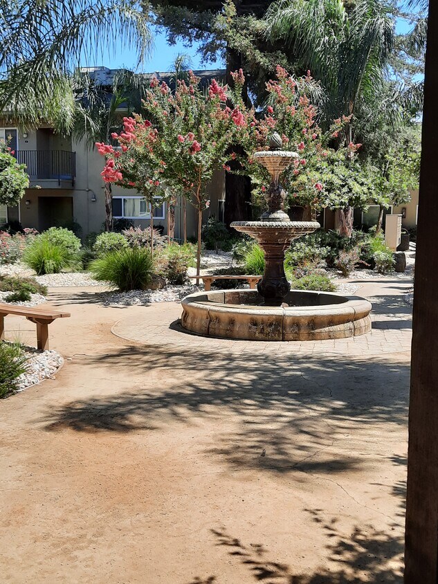 Patio con barbacoas y fuente - Westside Village Apartments