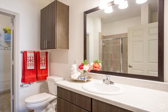 2 Br, Master Bathroom - Forest Pines Apartments