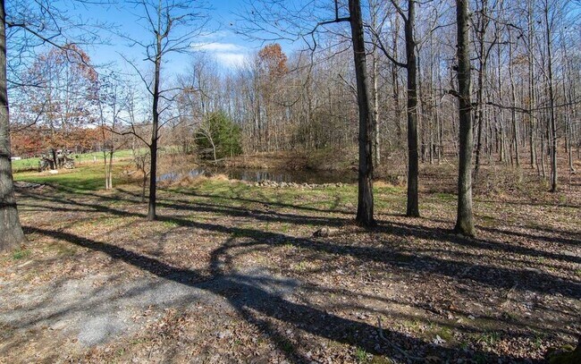 Building Photo - 156 Chestnut Grove Rd