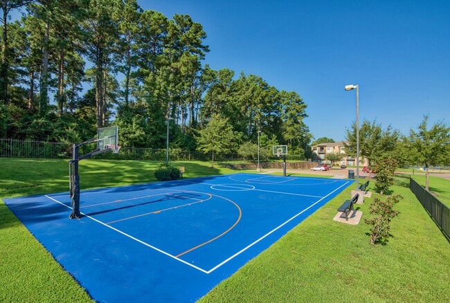 Basketball Court - Republic at Sam Houston