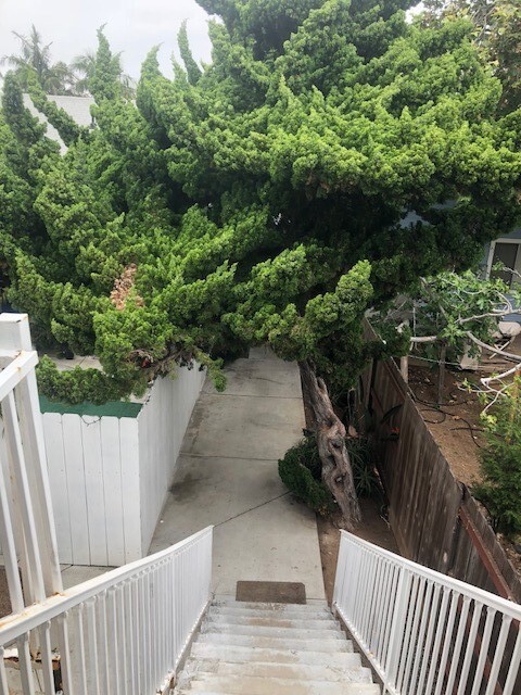 Building Photo - Spacious  2 bed / 1 bath upper floor Unit ...