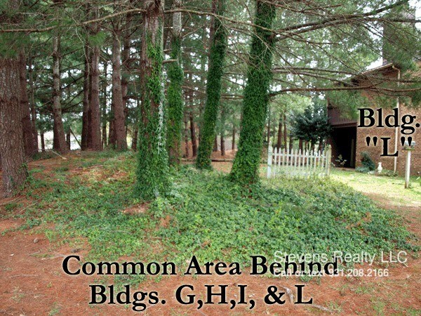 Building Photo - 419 Oriole Dr