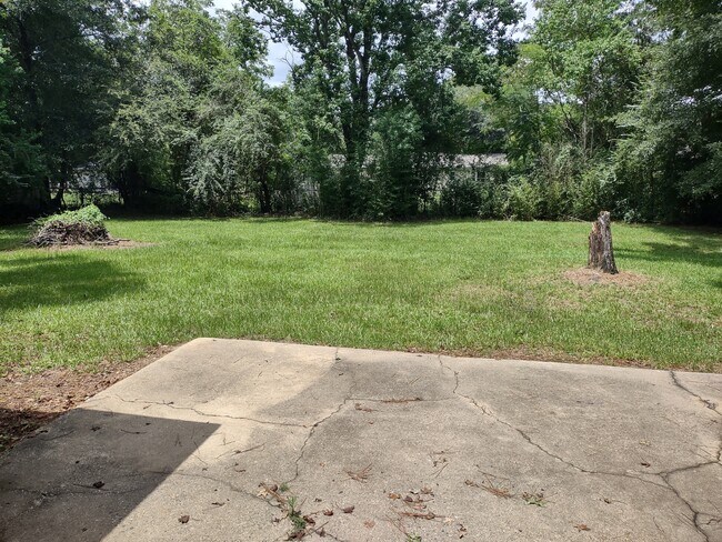 Back Yard - 41 Trailwood Cir