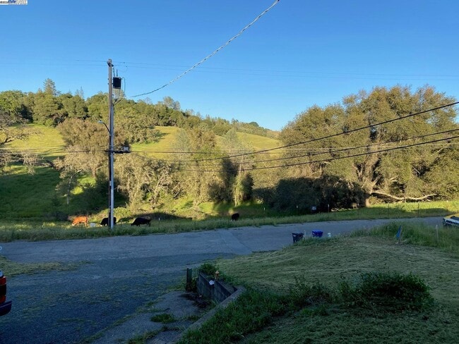 Building Photo - 17 Raggio Rd