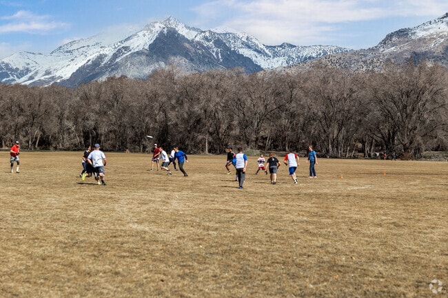 Art Dye Park in American Fork is a great place for ultimate frisbee.
