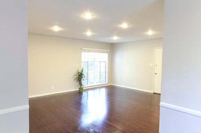 Amplio Window=Light! - 1911 N Las Palmas Ave