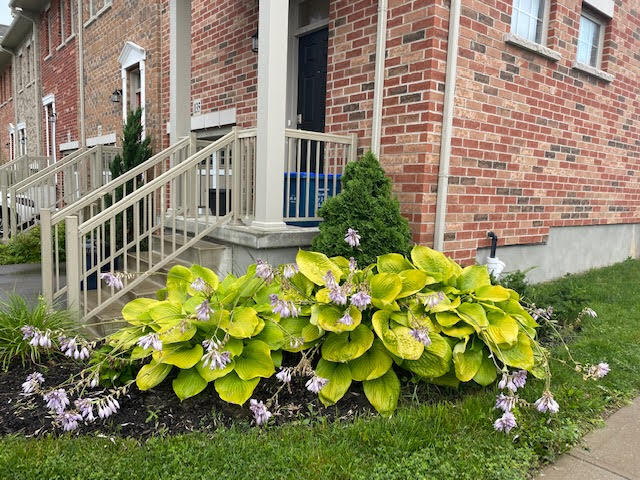Photo principale - 135 St Leger St