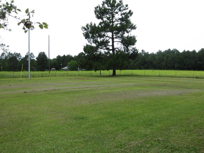 Building Photo - Beautiful Home in Hahira, Ga!