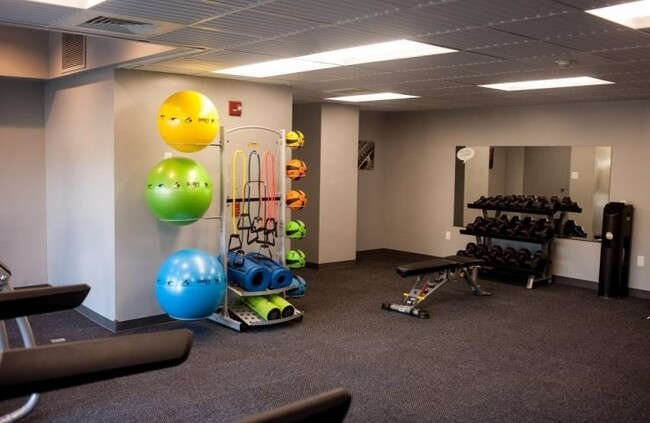 Fitness Center - Bridgeview