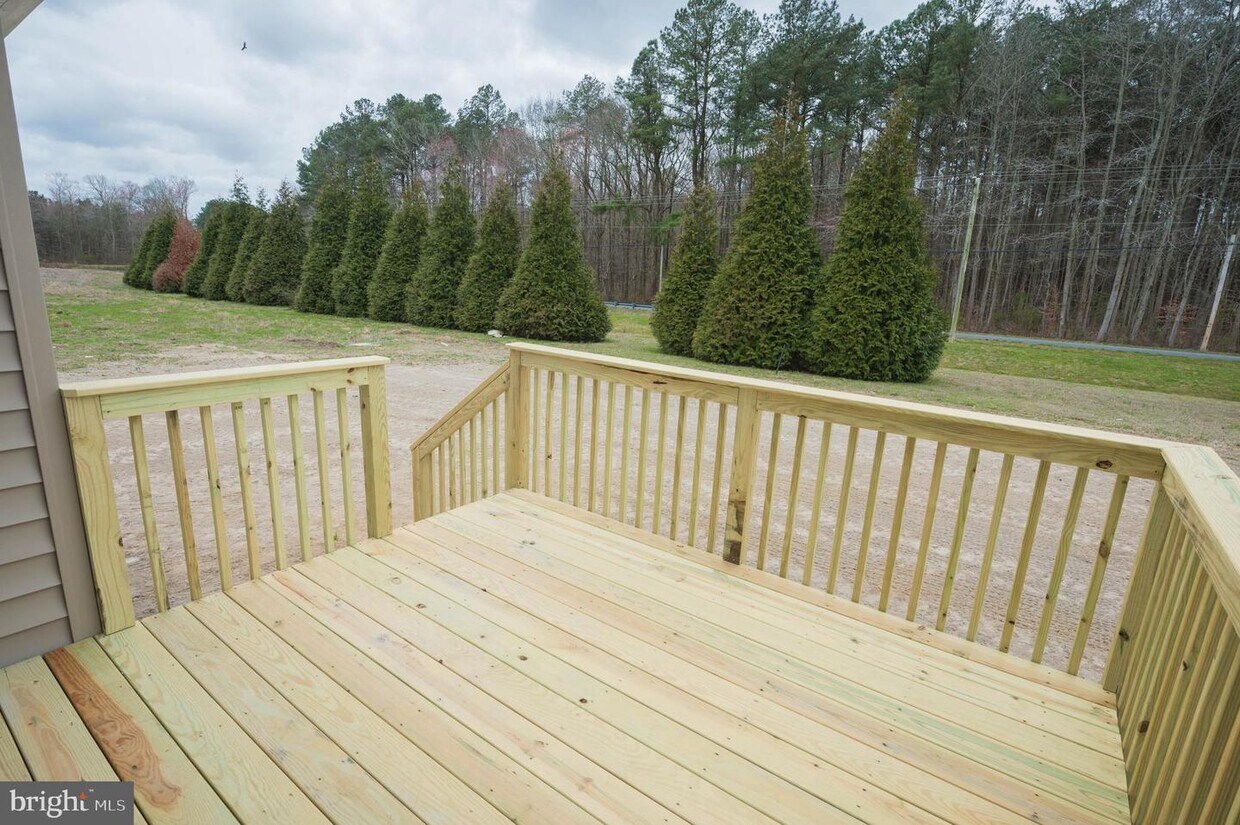 2004 S Old Mill Dr, City, MD 21851 House Rental in