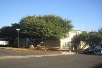 Building Photo - 3603 King St