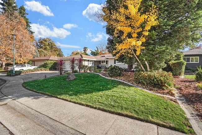 Building Photo - 1407 San Clemente Way