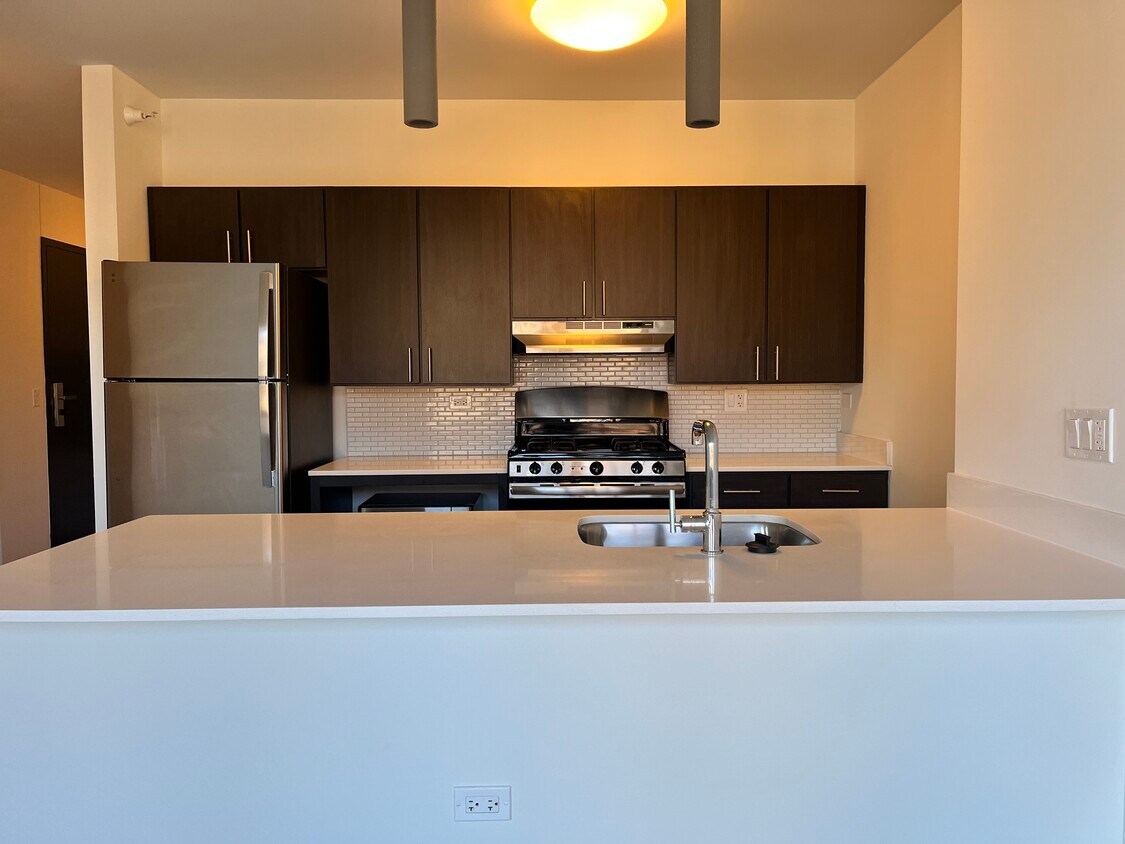 Foto principal - 733 N Wells St