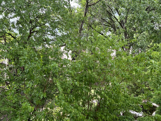 Foto del edificio - 12826 Nicollet Ave