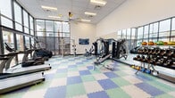 This modern fitness center offers a generously sized, single-floor workout space designed to accommodate a comprehensive range of exercise activities. The room features soaring ceilings with a drop-tile grid and recessed lighting, complemented by a striking large-blade ceiling fan that adds both function and visual flair. Floor-to-ceiling black-framed windows line one wall, flooding the interior with abundant natural light and providing views of the surrounding outdoor landscape, including palm trees and the adjacent building exterior. The flooring consists of interlocking foam tiles in a blue, green, and white checkered pattern, providing cushioning and safety throughout the workout area. Cardio equipment includes TRUE brand treadmills and elliptical-style stair climbers, while the strength training section is outfitted with a multi-station cable machine, adjustable benches, and a cable squat rack. A dedicated free weight area along one mirrored wall features a full dumbbell rack with color-coded medicine balls displayed above. A wall-mounted flat-screen television provides entertainment during workouts. The space is accessed through a glass-paneled entry vestibule with black steel framing, adding a sleek, contemporary aesthetic. Full-length mirrors along one side visually expand the room and enhance the workout experience.