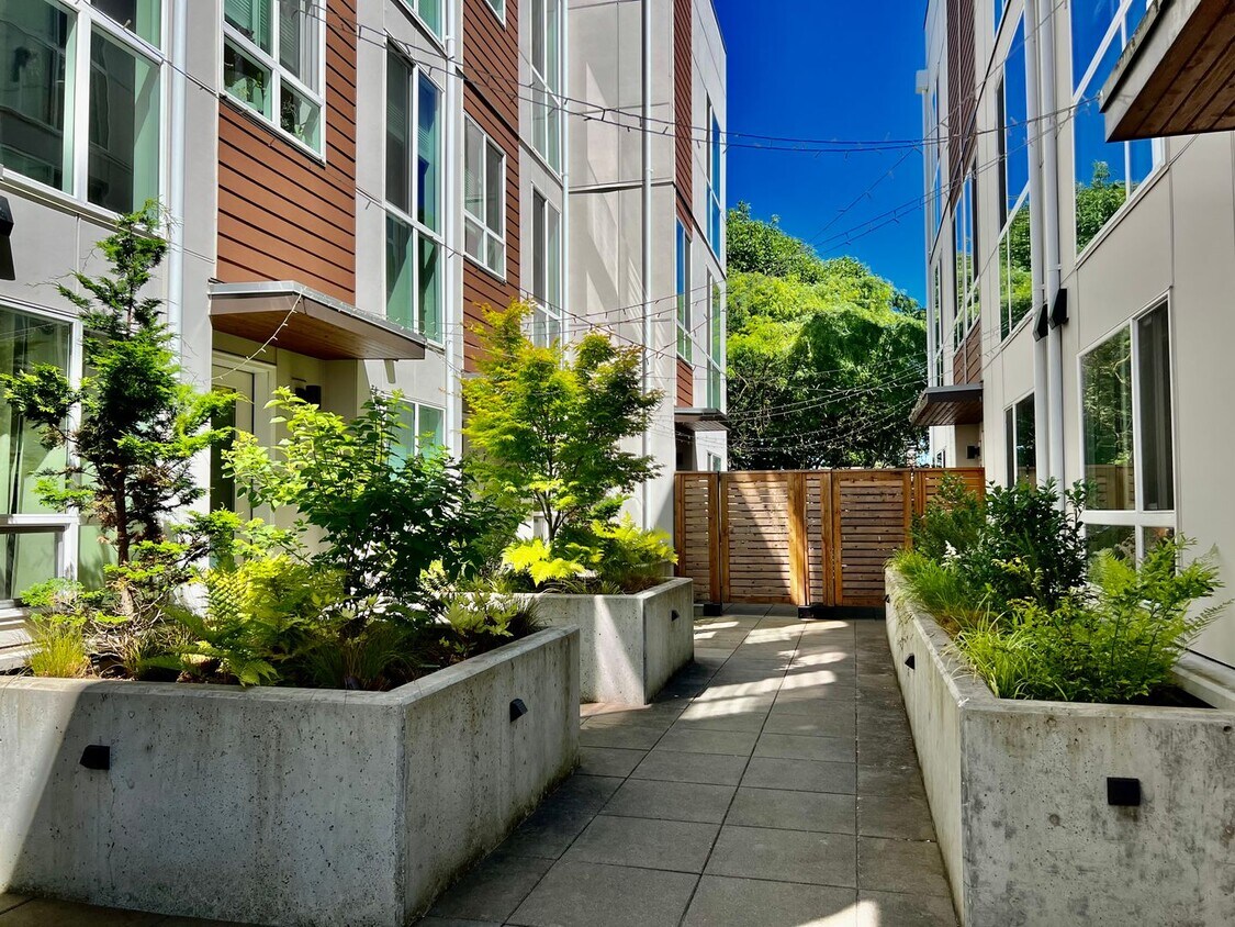 Primary Photo - Modern Urban Design in Ballard Townhome! T...