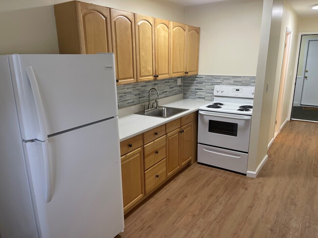 Quartz counter & glass backsplash - The Niche at Maple Gardens