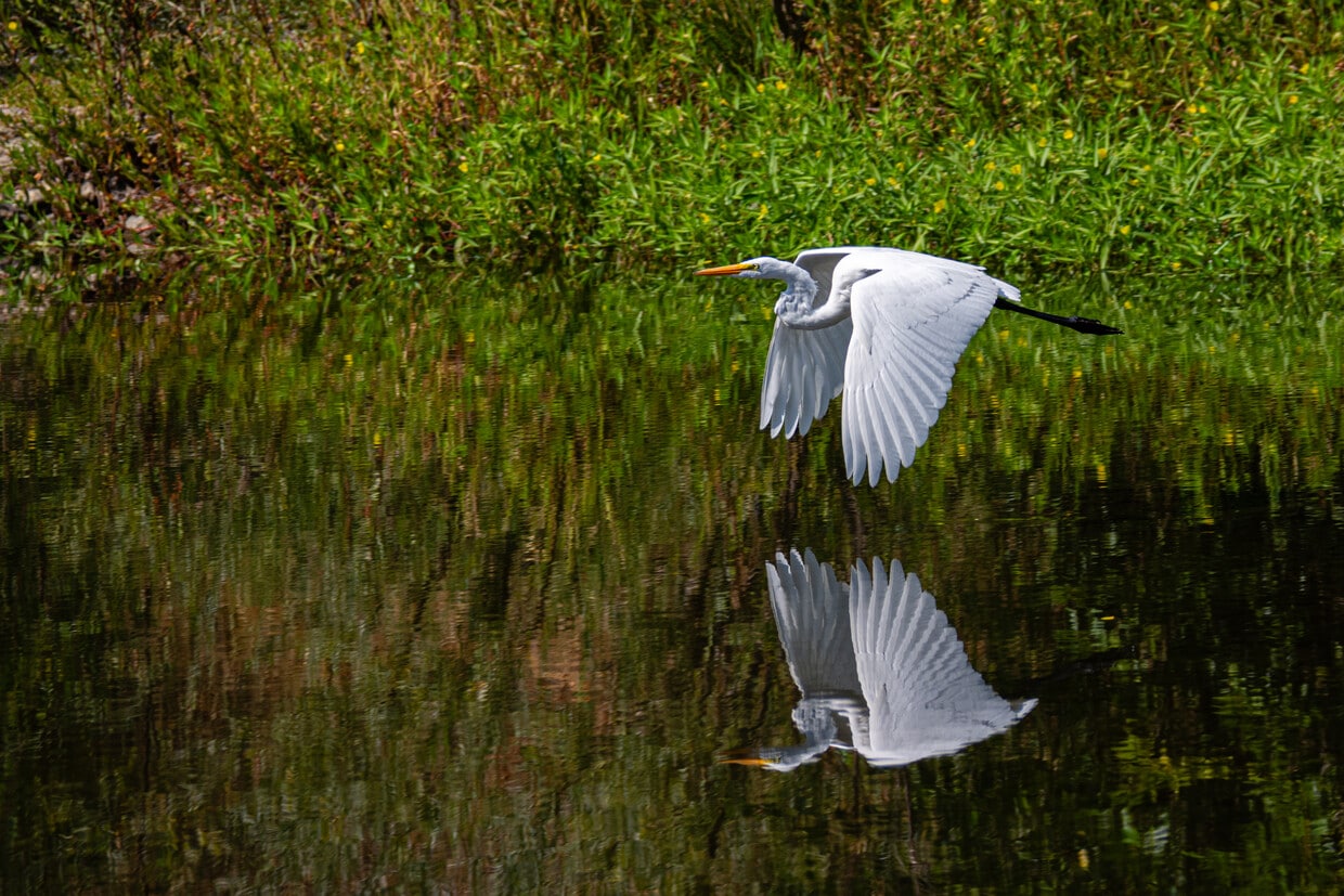 Foto principal - 2567 N Fitch Mountain Rd