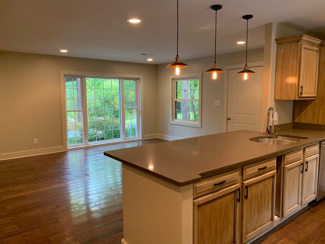 open kitchen-living room - 400 Larch Ln
