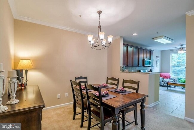 Building Photo - 20385 Belmont Park Terrace