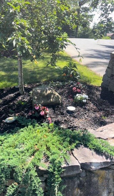 Foto del edificio - 880 W Wakefield Blvd