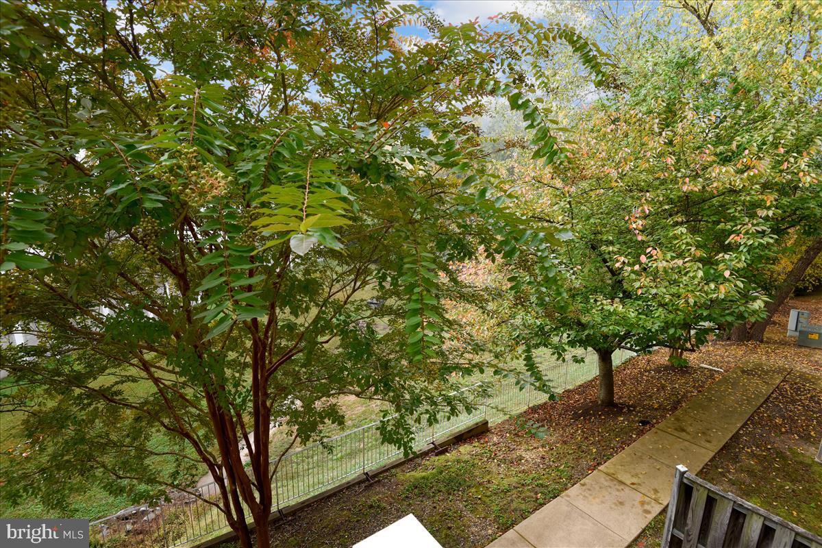 Foto principal - 5987 Terrapin Pl