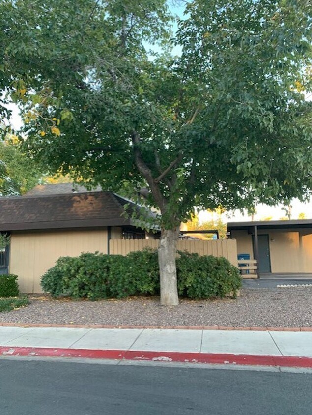 Primary Photo - 6124 Meadowgrass Lane,