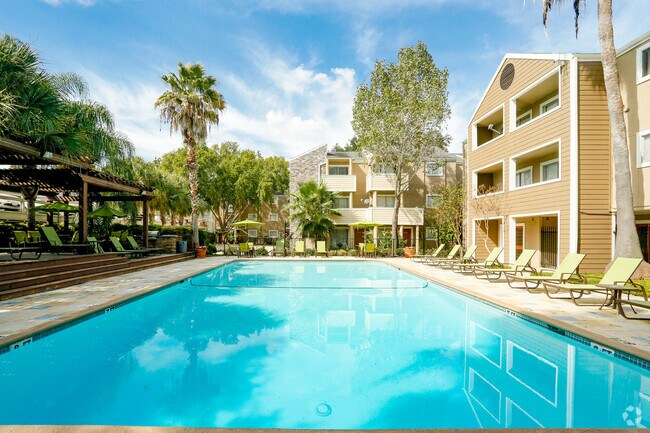 Palms On Westheimer Apartments Houston Tx Building Photo Palms On Westheimer Apartments