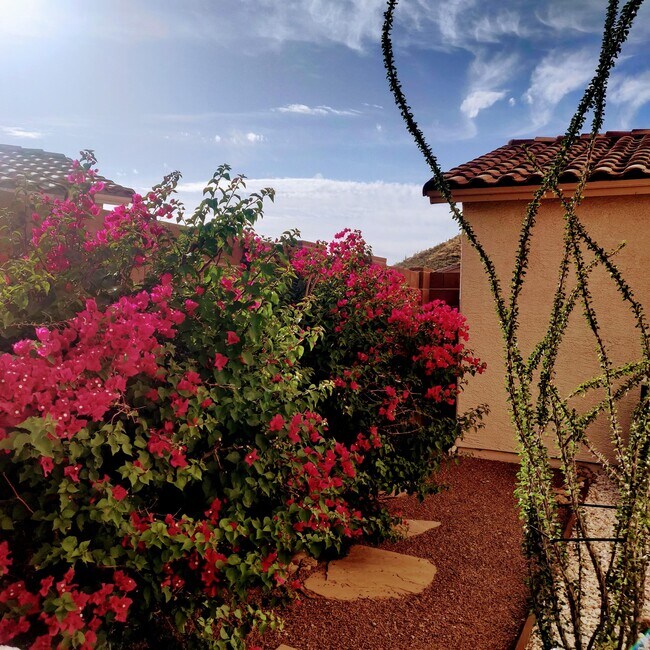 Foto del edificio - 2561 W Brandy Crest Dr