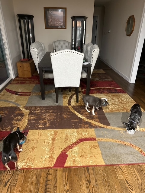 Building Photo - 4810 Meadowlark Dr