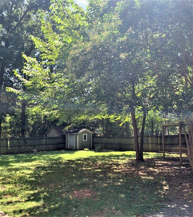 Backyard - 2146 McClintock Rd