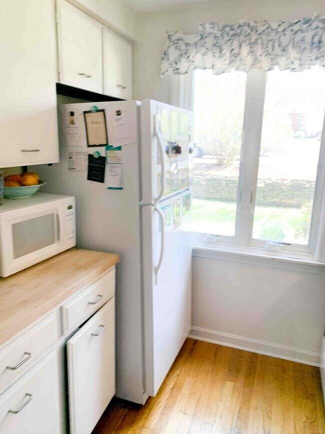 Foto del edificio - 2 Bed / 1 Bath Apartment – Webster Court, Amherst Available 6/8