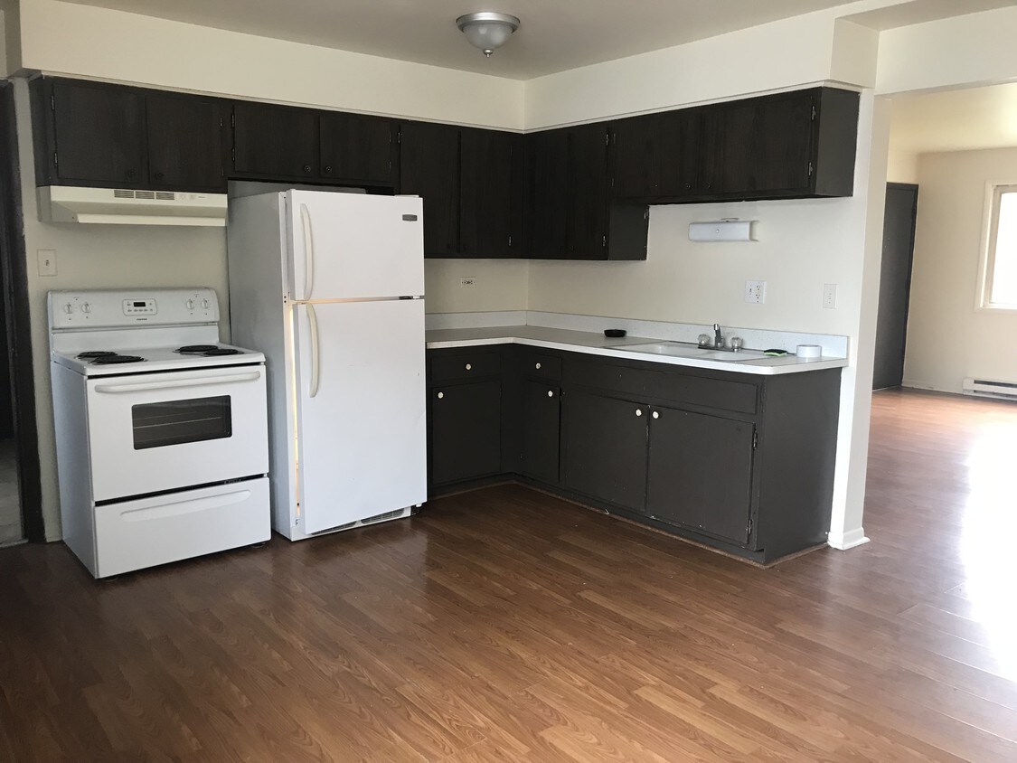 Updated Kitchen - 456 George St
