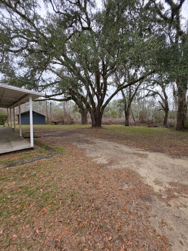 Foto del edificio - Spacious Country Living