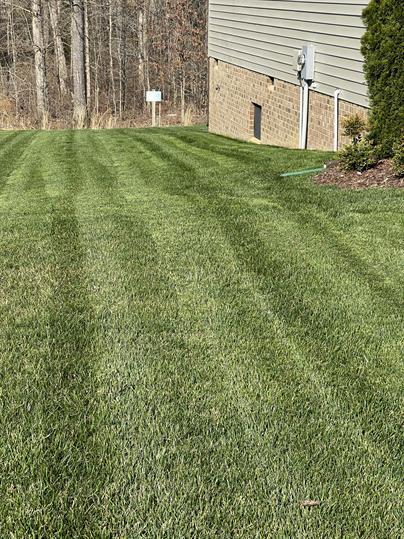 Foto del edificio - 6901 Swanhaven Dr