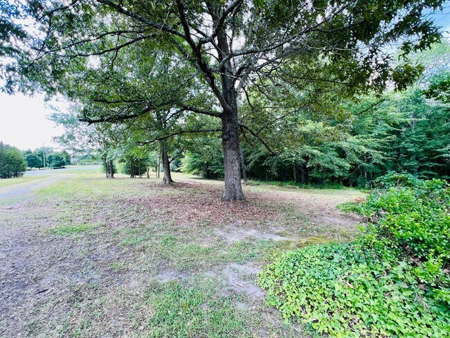 Building Photo - Exclusively Offered by Muse Realty Rentals...